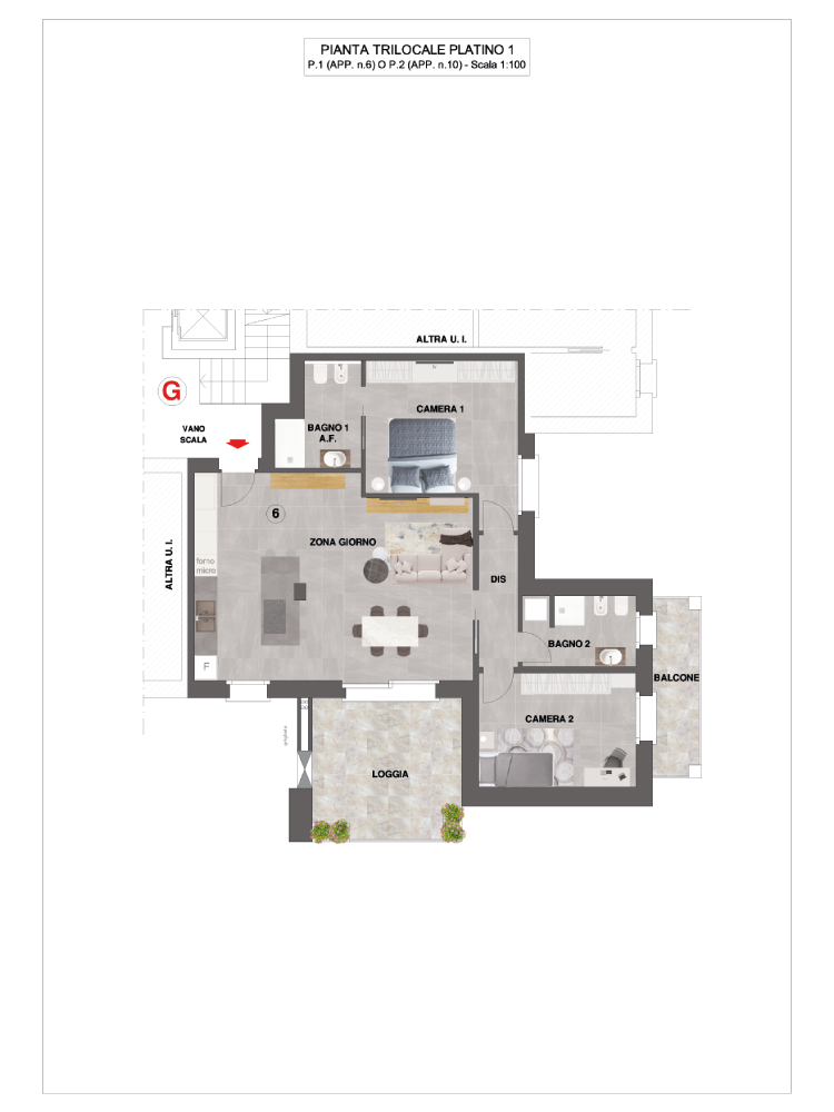 primo-piano-betulla-1